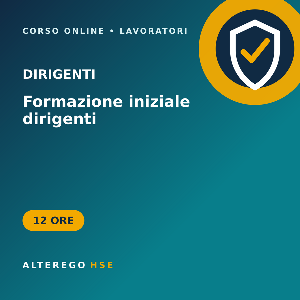 Formazione dirigenti online - Alterego HSE